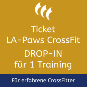 Ticket für 1 Drop-In-Training